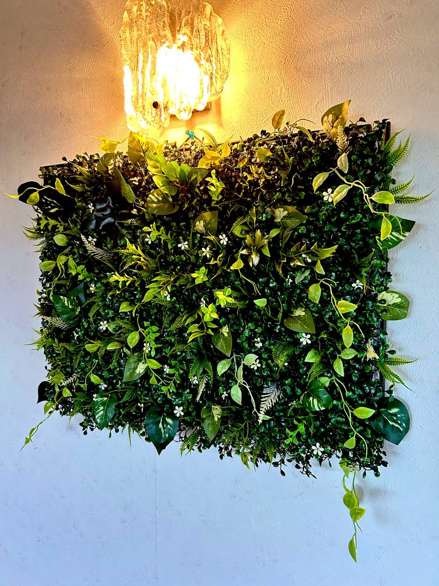 hide722002's tweet photo. 何故草を植えているのかわからなくなってきた
#グリーンウォール　#グリーンボード https://t.co/z22rFIs89R