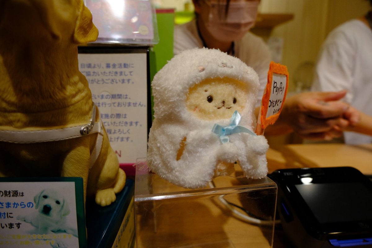 junz0808's tweet photo. 名西マザガの店内 https://t.co/zEKyYU95o6