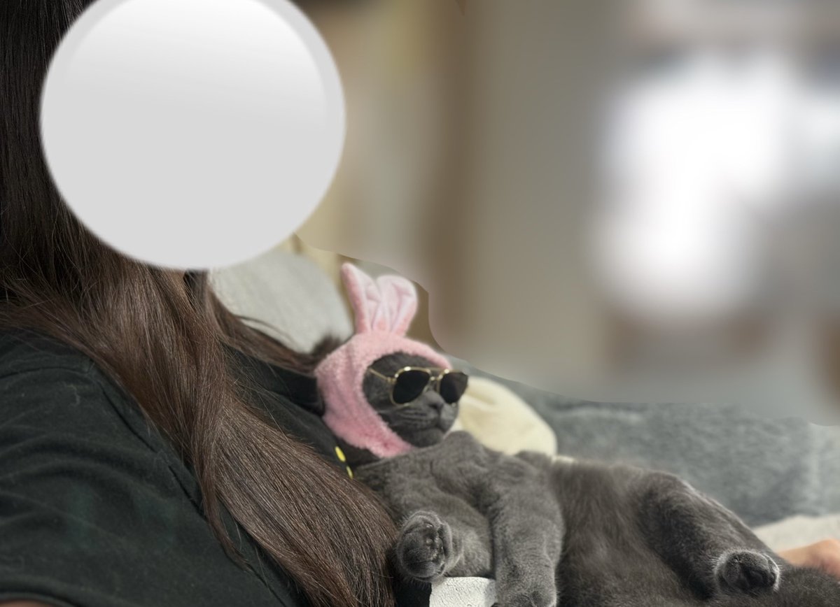 okochan78's tweet photo. まったく嫌がらないからつい😂
ママと一緒にテレビを見るボスベイビーܸᐢ🕶ᐢ ܸ

 #ブリティッシュショートヘア 
 #ねこかわいいね https://t.co/NeVZSUecyH