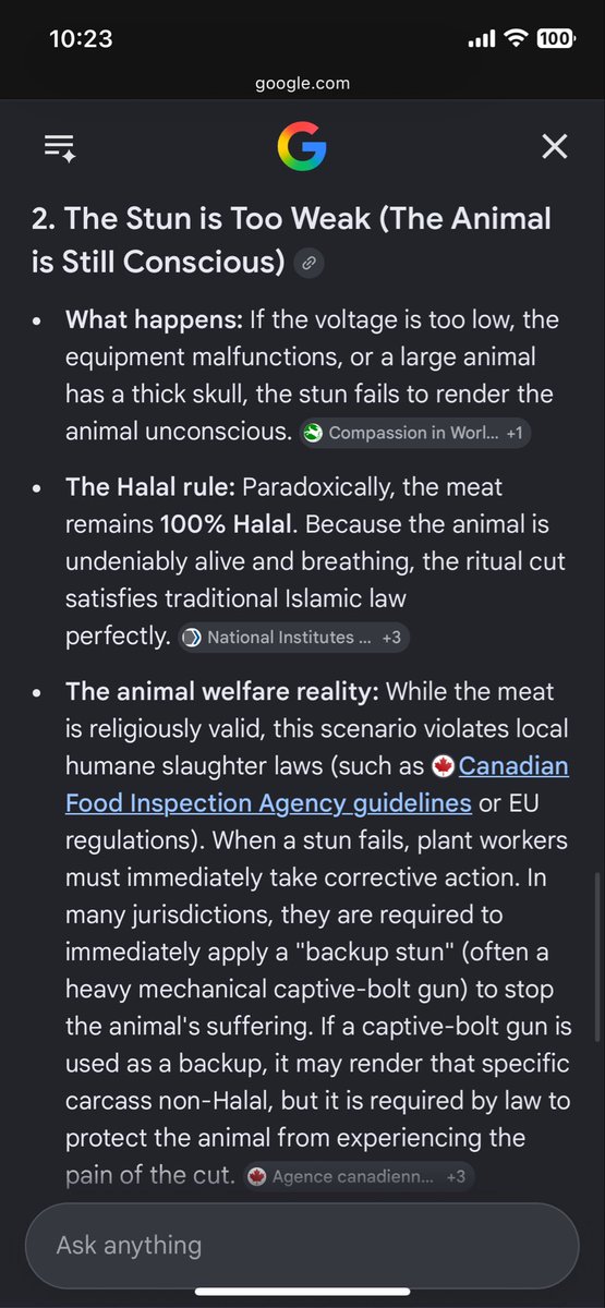 bobdylonrob's tweet photo. @dgflipped @ZionWatchdog @JillCo Difference is for halal they don’t do it for animal welfare, they do it for compliance. So there is this game where they try to knock it out without killing it leading to relatively high failure rates https://t.co/5WaWFEvAH5