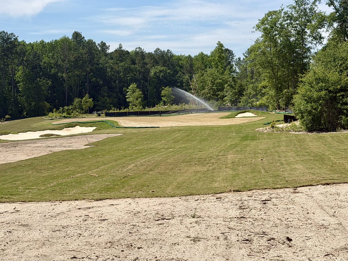 candyrootlodge's tweet photo. The greens have been laid https://t.co/nstmicRI2m