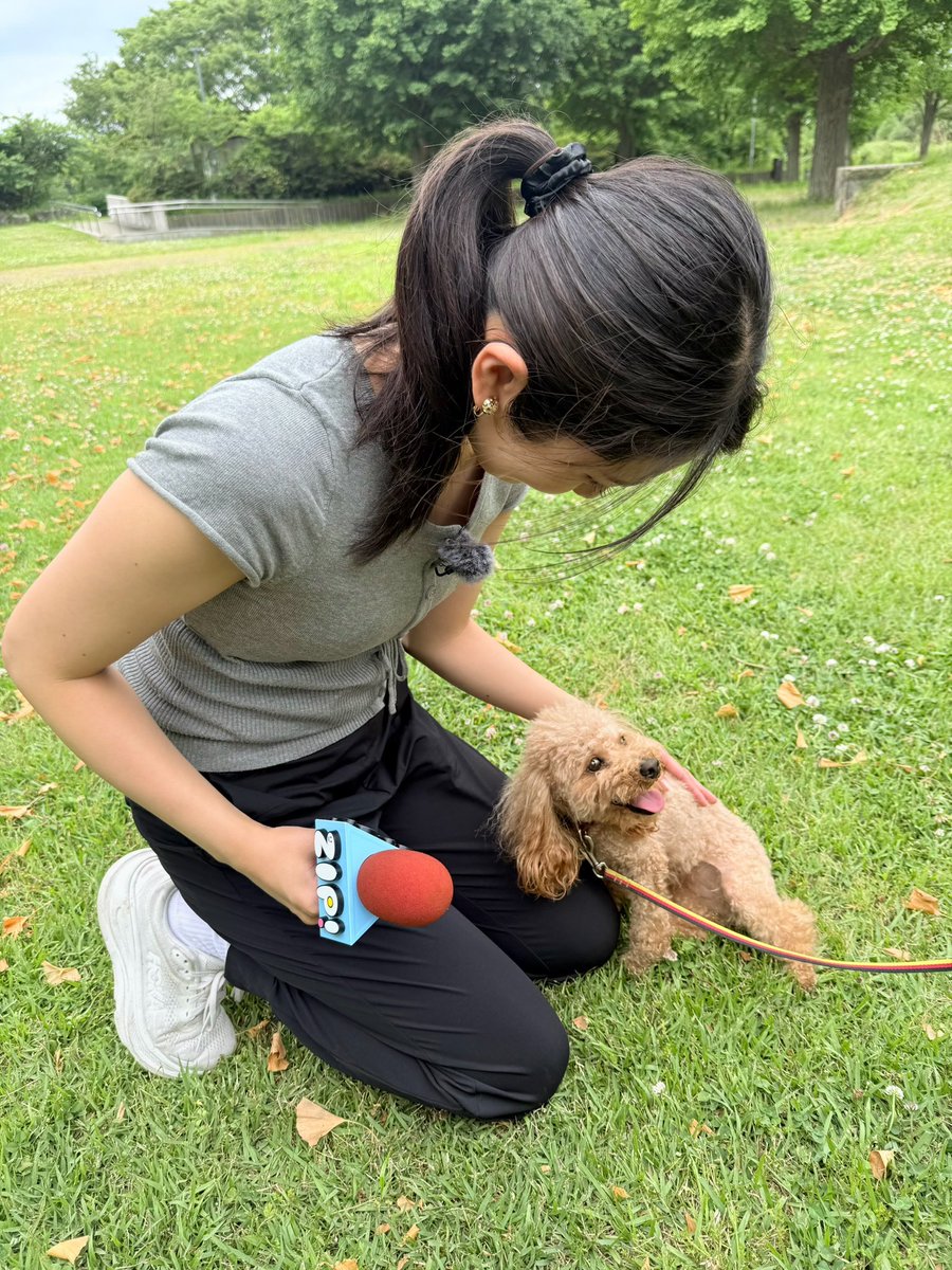 Anna_Asano_Box's tweet photo. 明日はZIP!☀️

なぜ？何だ？コーナーにて
「なぜ警察犬が小型化？」

担当しています🐶
とっても可愛いこの子たち、
実はとっても優秀なんです🫶🏻

日本テレビにて朝7:20頃から！
ぜひご覧ください🙏🏻

#日本テレビ
#ZIP #朝の杏奈 https://t.co/0sB06mhYtM