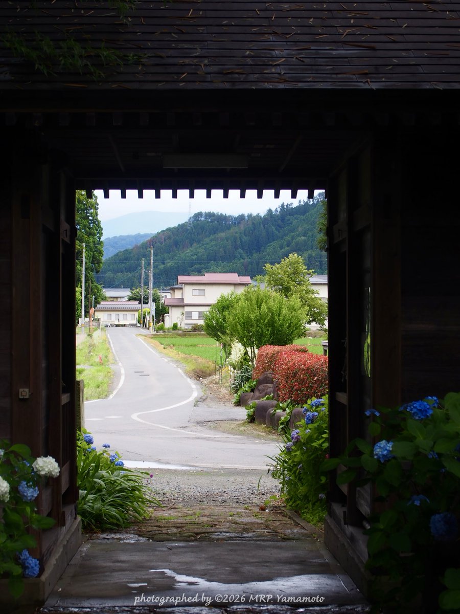 DeepshotDownTL's tweet photo. .

堂森善光寺 ⛩️

One of my most memorable hydrangea-viewing and Temple-Shrine visits. I think i’ve posted some from this trip on my main account, but here are the other more snaps📷..｡

            𖥧𓂃𓈒.𓈒𓏸𓈒.•𓈒•𓈒.•𓏸𓈒.𓈒𓂃𖥧

Dōmori Zenkō-ji, a temple located in Yonezawa, Yamagata Prefecture. The temple is historically significant as the place where the legendary samurai Maeda Keiji spent his later years. 
A memorial tower dedicated to Maeda Keiji is located on the temple grounds.
The site features lush gardens and is known for its beautiful hydrangea blossoms in early summer. 

.

#堂森善光寺 #前田慶次 #紫陽花 
#初夏 #寺院巡り #旅の記事 #山形県 
#hydrangeas #田舎が好き #Epl6 
#photography #mytravelgram 
#TLを花でいっぱいにしよう 

.