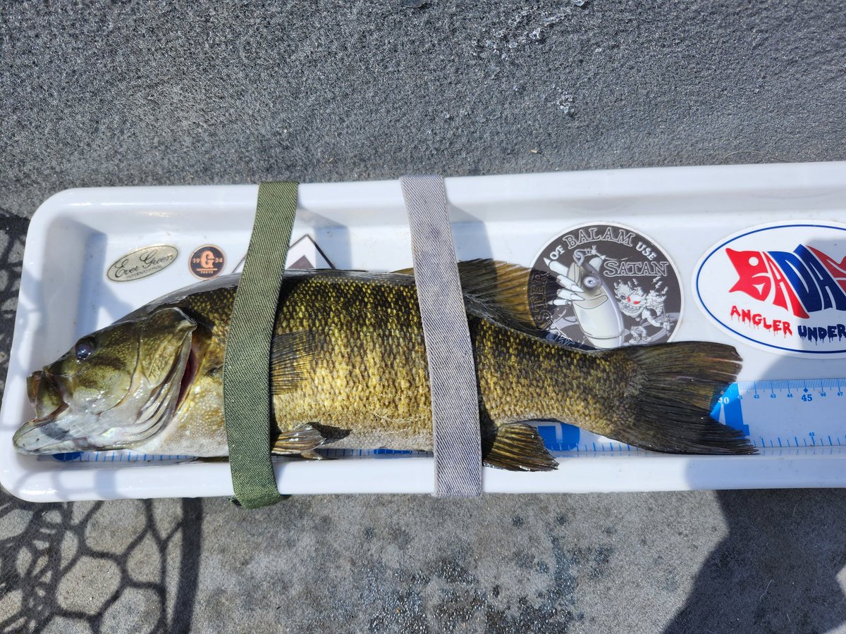 SuperHisasi's tweet photo. 厳しかった桧原湖😅
自分なりに、楽しく釣りは出来たけど🎣 https://t.co/WRWi8Ay06o