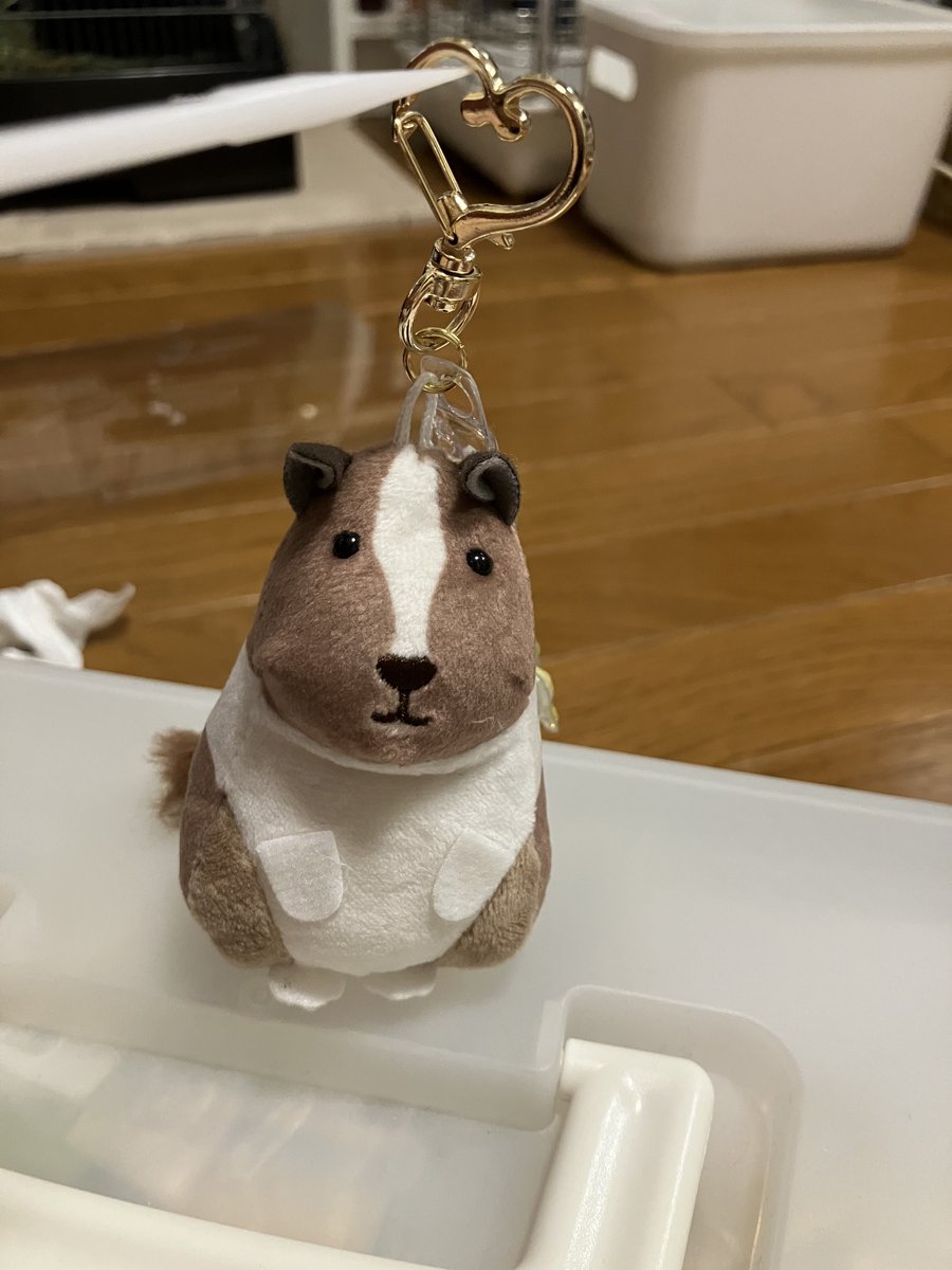 ohka_TH's tweet photo. デグーぬいぐるみのボールチェーンが心もとなかったからナスカンに変えた https://t.co/f5Cfv3BbX8