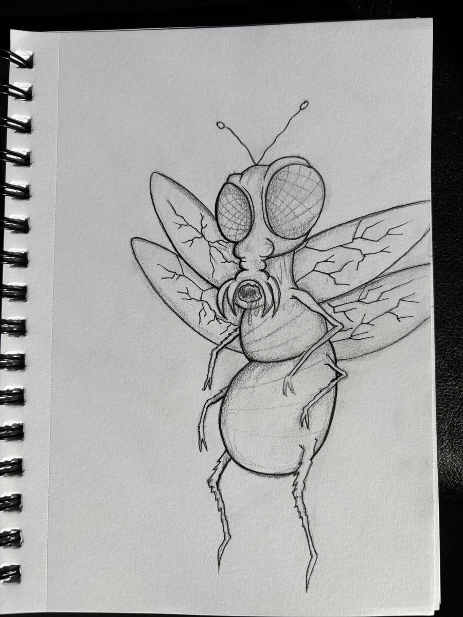 micro_mirrors's tweet photo. Buzzzzzz🪰 https://t.co/lMkNC7qQTK