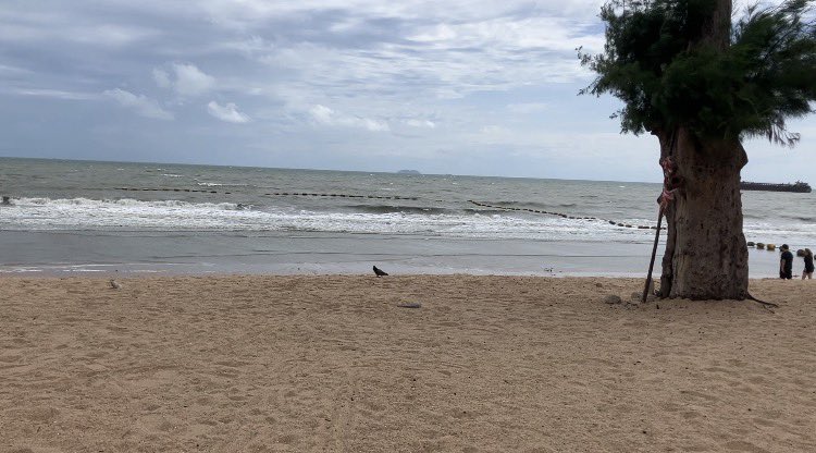 kozochan's tweet photo. 海外で現地外国人と関わる中、日本人として学んだこと🇨🇳

言葉が通じることと、相手を理解することは全く別物だ。

中国ビジネスの現場で痛感した経験がある。日本語堪能なビジネスパートナーがいた。言葉の意味は完璧に伝わっていた。ある場面でクライアントの本当の狙い、言葉の裏にある細かな想いまでは掴みきれていなかった。その次の定例MTGで準備不足が発覚し、慌てたことがある。

彼女を責めているわけではない。これは言語能力の問題ではない、外国文化を理解するのは簡単ではないということ。

日本人が「空気を読む」感覚、言葉にせずとも察する文化は、言語習得とは全く別の次元にある。そこを痛感してきた。

異文化で生きるとは、言語に加えてその国の人の思考回路を学ぶことだ。

その経験が今、タイ生活にも活かされつつある。まずは見よう見まねで挨拶はしっかり行い、感謝の気持ちはワイという行動で示す。早く溶け込みたく意識して日々過ごしているが、全くストレスにはならないむしろ心地良い。

#海外移住 #中国ビジネス #FIRE #タイ移住 #人生一度きり
#Thailand #Pattaya #Expat #China