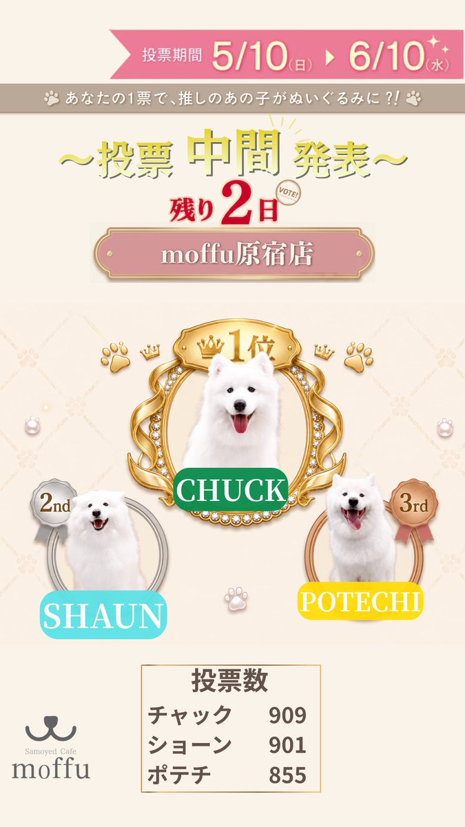 samoyedmoffu's tweet photo. 残り2日‼️

どちらの店舗も僅差で誰が1位になるか最後までわからない☁️

ぜひ最後まで推しを応援してね♪ https://t.co/OKb3ihm64f
