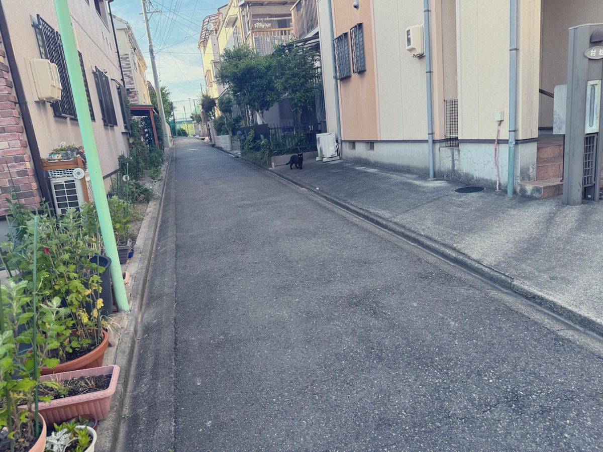 46mK5m's tweet photo. みなさま今週もお疲れ様です。今週はいろんな方とお会いできた気がします｡｡｡
いつも会いに来てくださるみなさん、ありがとうございます！プロアマ参加されたみなさんもありがとうございました！楽しかった！！

プロアマもやっとプラスを持って帰れてうれしい（՞>⩊<՞）

先日遭遇したねこさん🐈‍⬛🖤 https://t.co/IaQj3mJ2Sk