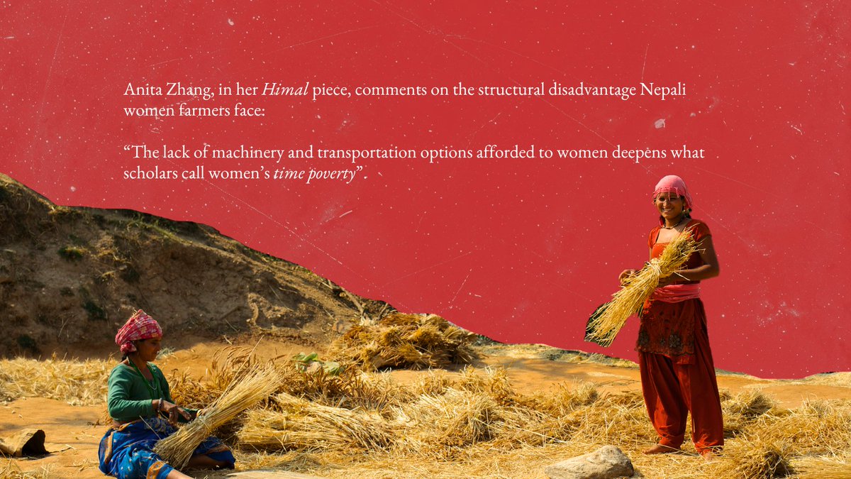HimalSouthasian's tweet photo. As millions of young and able-bodied men from Nepal have migrated abroad for work, millions of women have remained behind. Many have turned to farming, sustaining the country’s agricultural lifeline. However, they still find themselves at the periphery of decision-making. @anita_zhangg writes: https://t.co/PHYf6E0lEe