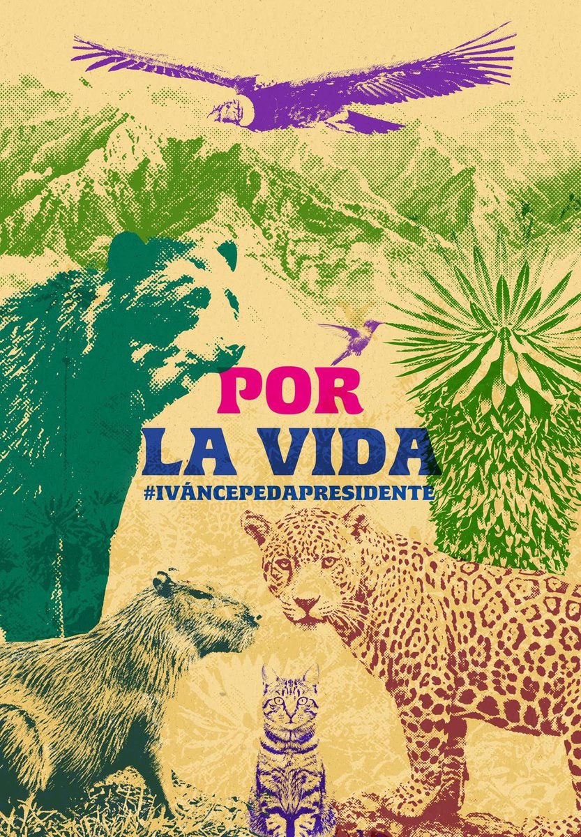 PizarroMariaJo's tweet photo. #CepedaNoEsFracking 
#MeLaJuegoPorLaVida 🫰🏽 https://t.co/K7Ee84MHZb