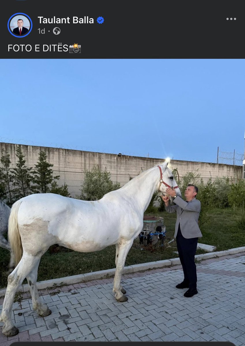 ShefqetFejzo11's tweet photo. #albaniaisnotforsale 

I’m fucking crying 😭🤣 https://t.co/WEg8M3iSpL