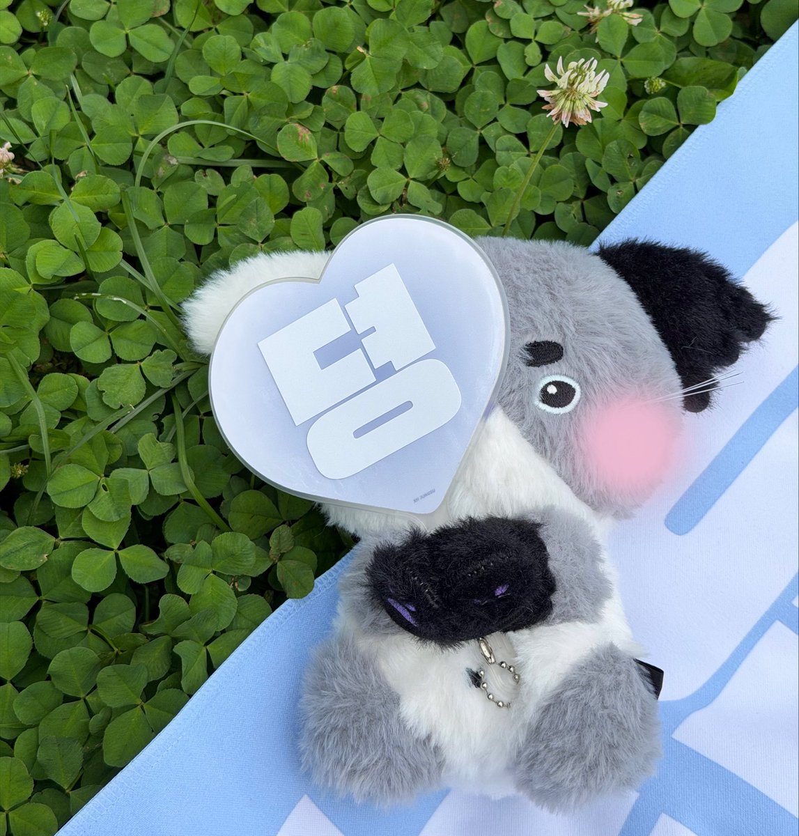 콩담.. tweet media