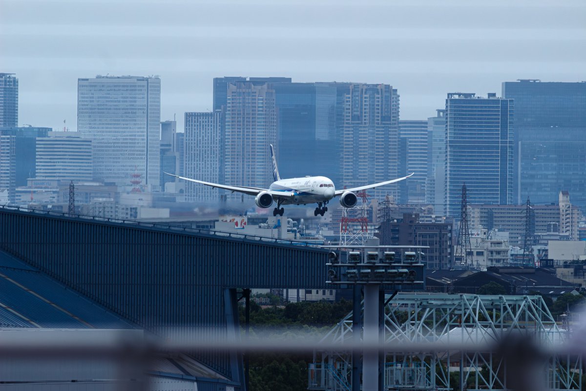 YAMAscene's tweet photo. 雨の伊丹空港でフェンス越しの撮影。
飛行機認識なんて機能がないカメラですが豆つぶの大きさからでもしっかりAFが効いてくれます。
光学ファインダーは撮ってて楽しい！ https://t.co/RxM96CXi52