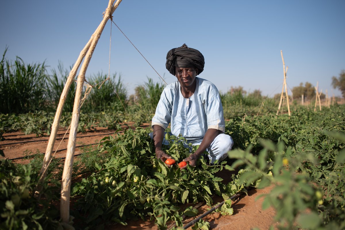 EnabelRim's tweet photo. #7Juin La sécurité alimentaire &amp; la nutrition sont les 2 faces d'une même pièce : pas d'avenir si le contenu de nos assiettes menace notre santé. 🌍
Focus sur #SYSALIM : des Systèmes alimentaires durables &amp; inclusifs pour une meilleure sécurité nutritionnelle en #Mauritanie. 🍲🚀 https://t.co/MhqSDM3eWb