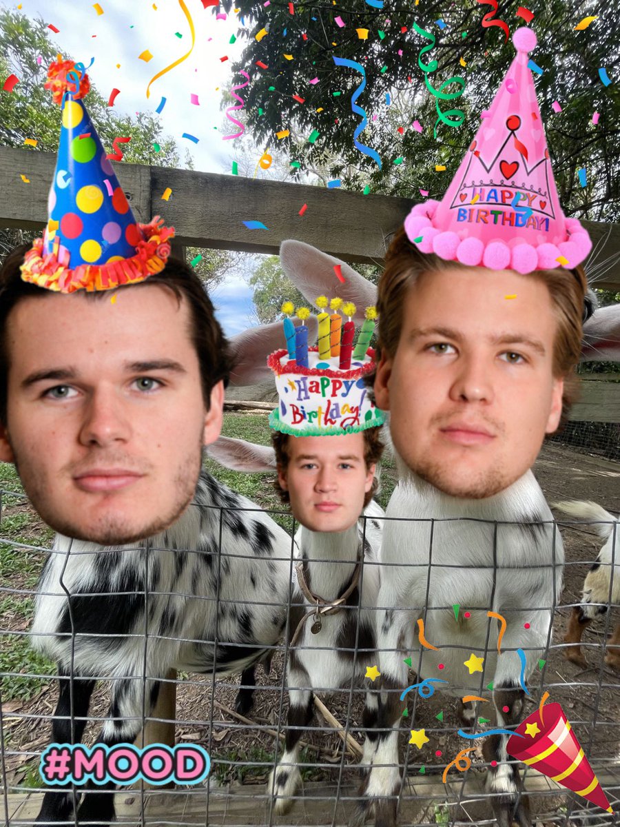 hharlivie's tweet photo. happy birthday to my goats on 6/7 😌🎉 https://t.co/FFx7kRnvxE