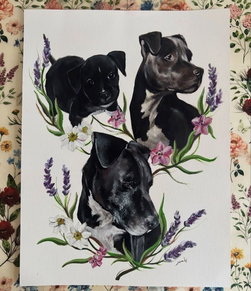 Neinei_art's tweet photo. Hemos vendido ya 27 de los 100 números! 😊

Os recuerdo que se sortea un retrato personalizado como el de las imágenes, de un animal!

Solo se puede comprar un número por persona! Y cuesta lo que tú quieras donar a partir de 2€ ☺️ o puedes comprar algo de la lista de amazon en mi link! 

El número no se elije, toca según entran los pagos.🥺♥️

Y todo lo recaudado va para pagar gastos de alimentación, veterinario y residencia de los gatitos acogidos, de la colonia y de Bruc.

El sorteo se hará el 12/06/2026 a las 20:00 . Muchísimas gracias a todos 

https://t.co/TUd0xNOzMG