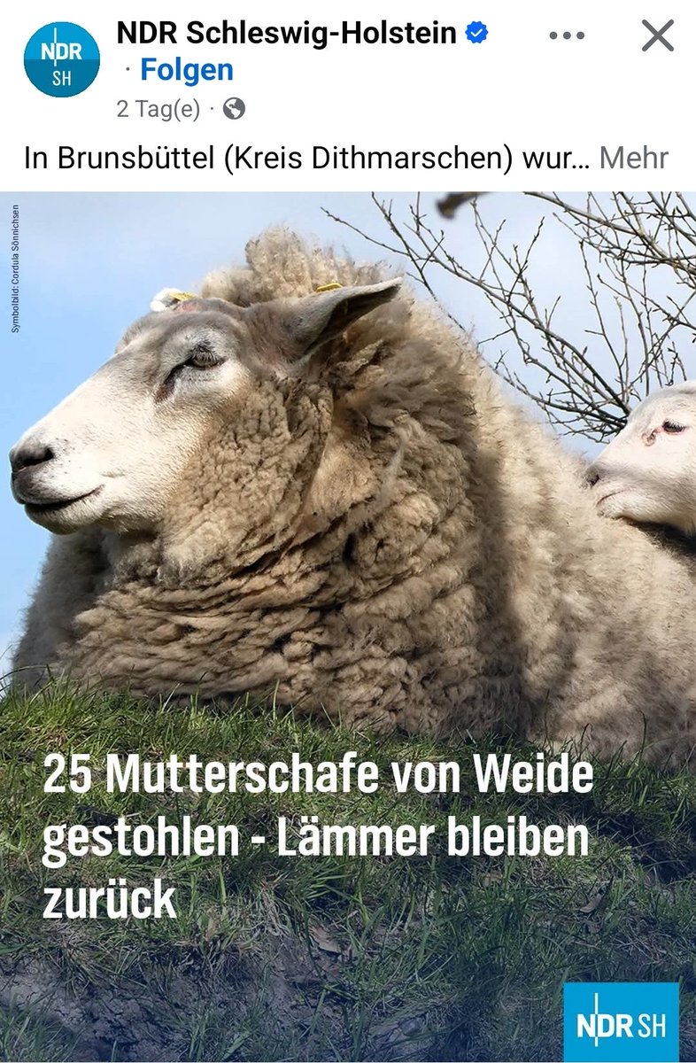 jessieTsaneikk's tweet photo. Auch solche Meldungen hat es früher schon gegeben, oder? https://t.co/rZDb2pLjUD