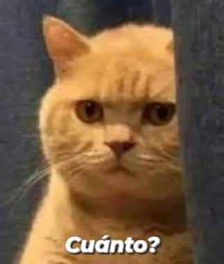 agustineacuna's tweet photo. ¿Cuánto puede llegar a durar un sumario administrativo para que viole el plazo razonable? ¿5 años? ¿7 años? ¿Más que el plazo de prescripción? Algo de eso trató el caso “Ilic” de la CSJN. ¿Lo vemos? https://t.co/dSNlS18wKa
