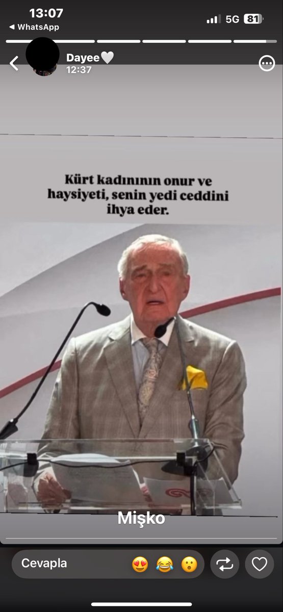 mizgîna leheng tweet media