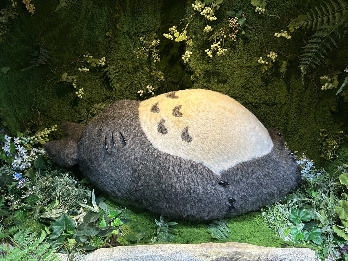 DSQ_silent's tweet photo. ソラマチ隆史 https://t.co/eawIcQ4VIy