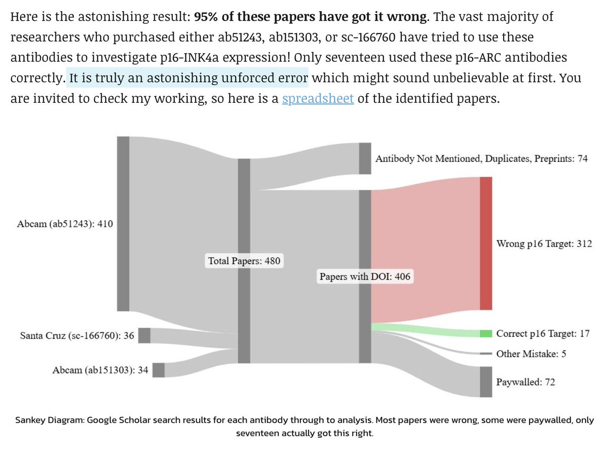 slavov_n's tweet photo. 95% of papers reporting antibody-based analysis of p16-INK4a used antibodies for an unrelated protein, p16-ARC.

Despite using the wrong antibody, authors reported the expected results:
  > Genetic perturbations of p16-INK4a altered reported p16-ARC levels.  

1/ https://t.co/MP9IISCh07