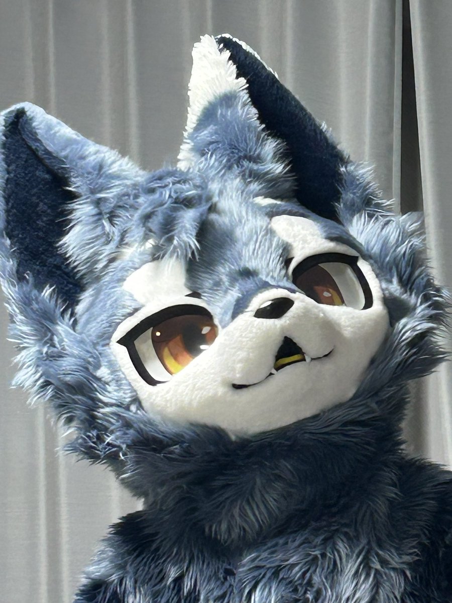 幻嵐Genran (@huanlan_wolf) / Posts / X