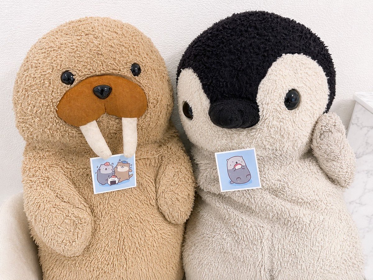 ペンセイ tweet media