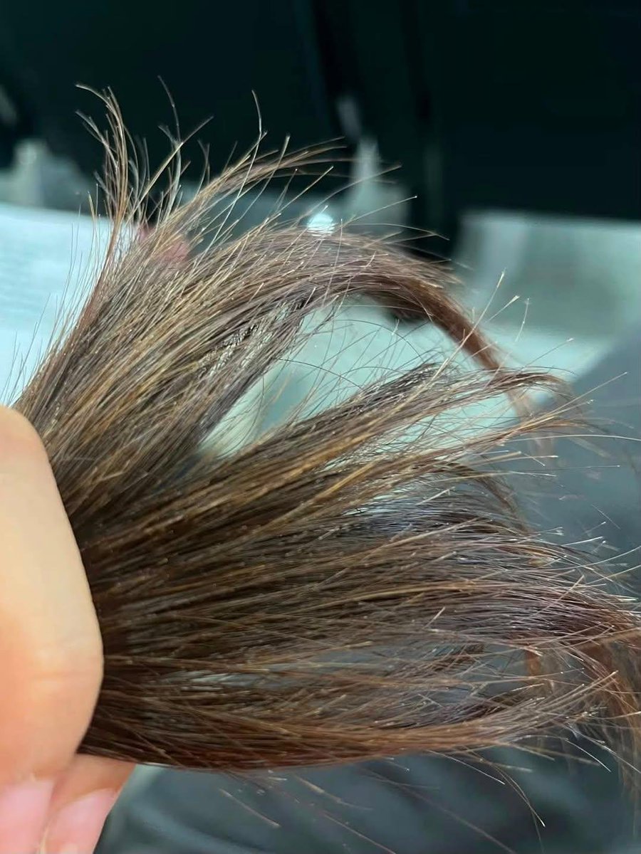 MissBronstein's tweet photo. hair care really changed for me after this https://t.co/hRrYZ8Qvqz