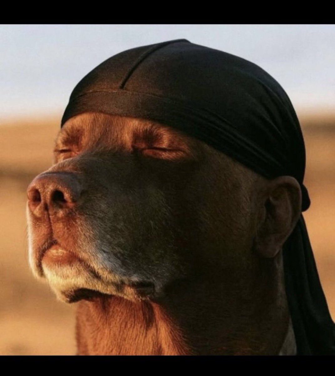 jayfund11's tweet photo. If they do you like this you go like ham 😂😂😏 https://t.co/YHrbdS2t1i