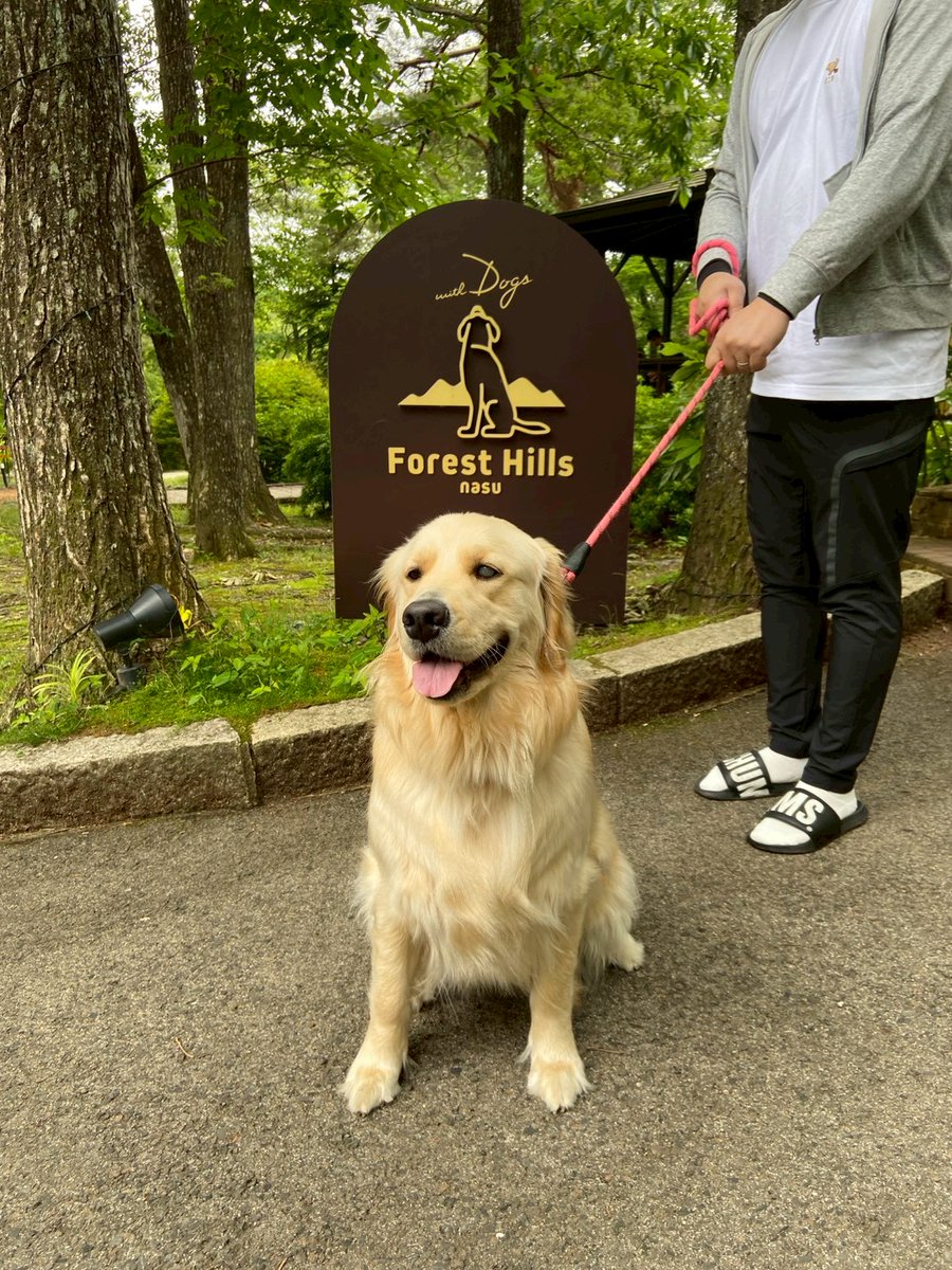 hiro_SSGT's tweet photo. ワンコと那須高原に一泊二日の旅行でした！
ワンコも楽しんでくれたようでよかった！ https://t.co/lN7a85vzjI