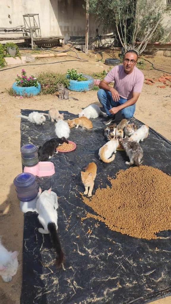 help cats tweet media