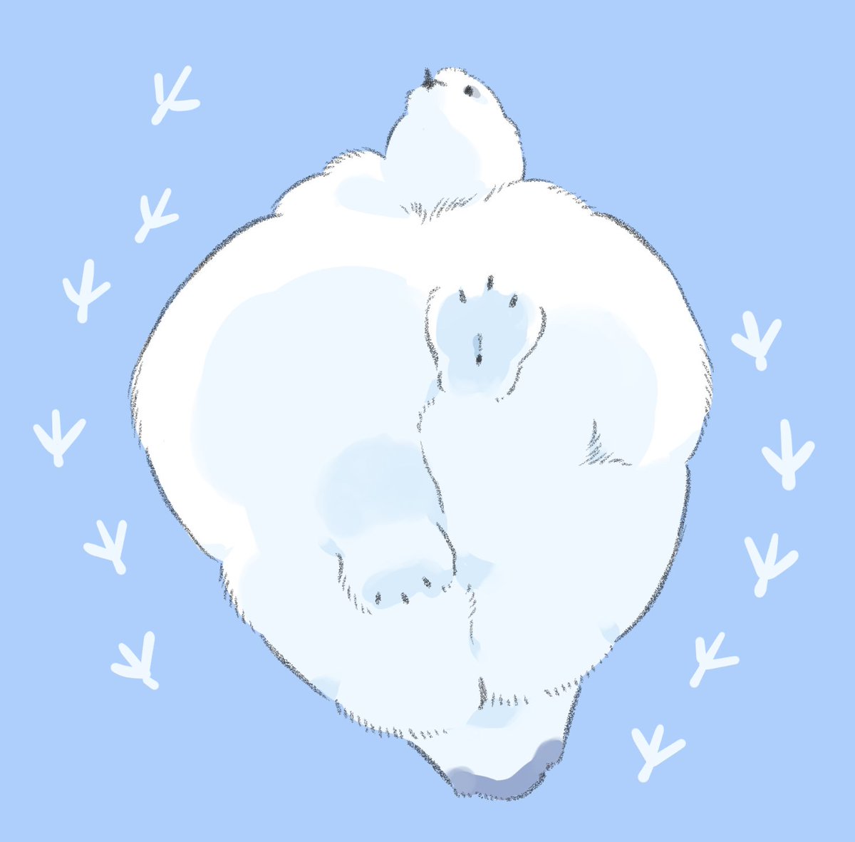 Fluffy_Holidays's tweet photo. 雷鳥の足裏いともふし https://t.co/5dkSp6SowB