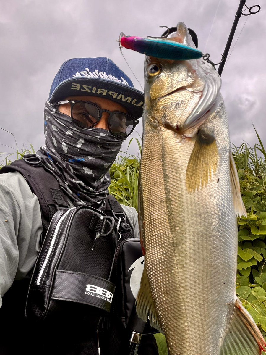 oka__chan's tweet photo. 雨降る前に2キャッチ🎣

うぇ〜い♪

#JUMPRIZE 
#VARIVAS
#RBB
#がまかつフックモニター
#pr
#シーバス
#九頭竜川
#デイゲーム https://t.co/N8nQLjWJgn