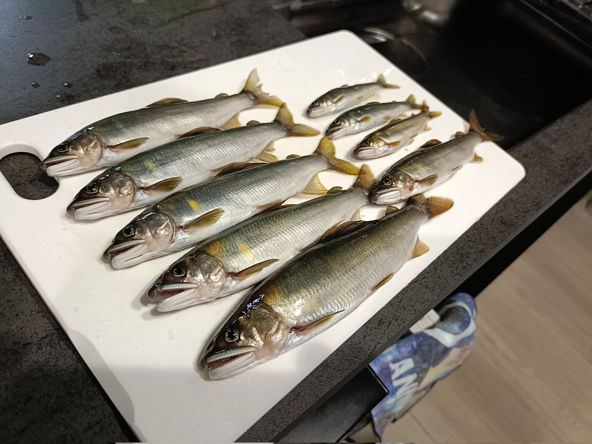 nao_fish_1091's tweet photo. 今日は今シーズン初の1日釣りDAY!
栃木のアユ釣りチーム"TOP ONE"の例会にお邪魔させて頂きました🎣
午前中は大会エリアの下見、午後は寒井地区に移動して、1日楽しく遊ばせて頂きました☺️☺️☺️

#那珂川
#TOPONE
#鮎釣り
#Qなんでピンクのパンツ履いてるんですか？
#Aアイデンティティです https://t.co/FriS8Nyrs3