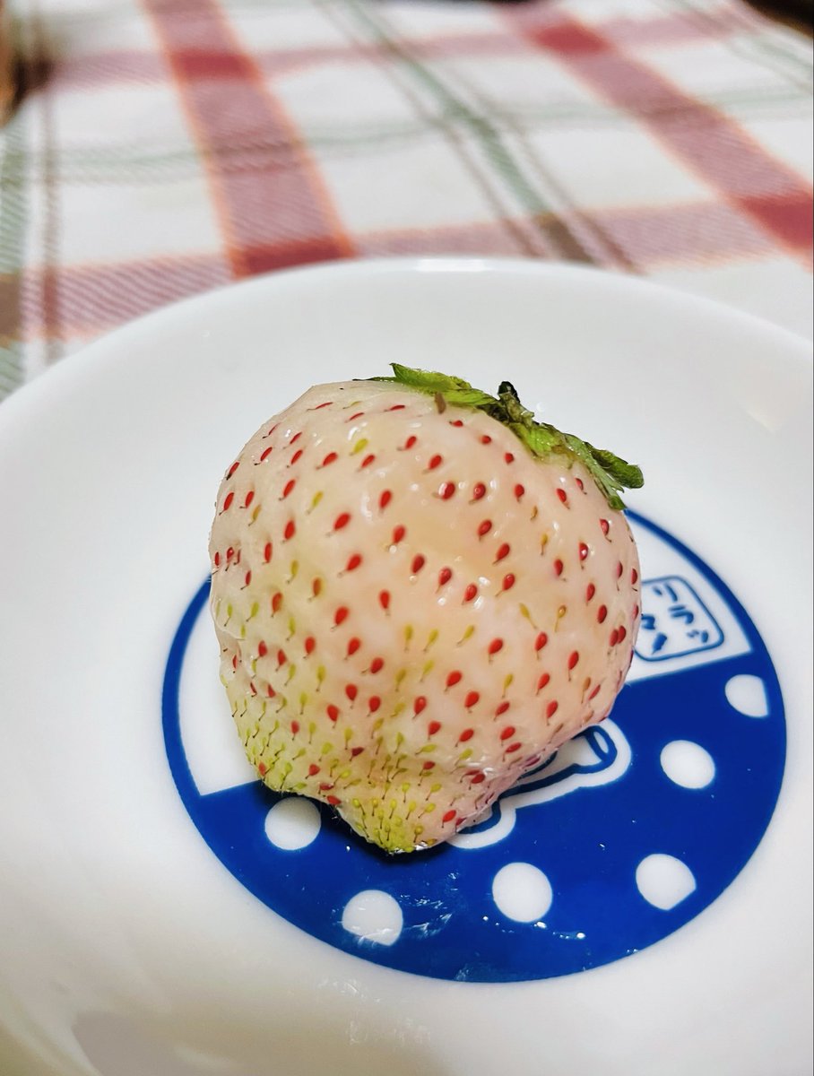5月に植えたいちご 初物です🍓