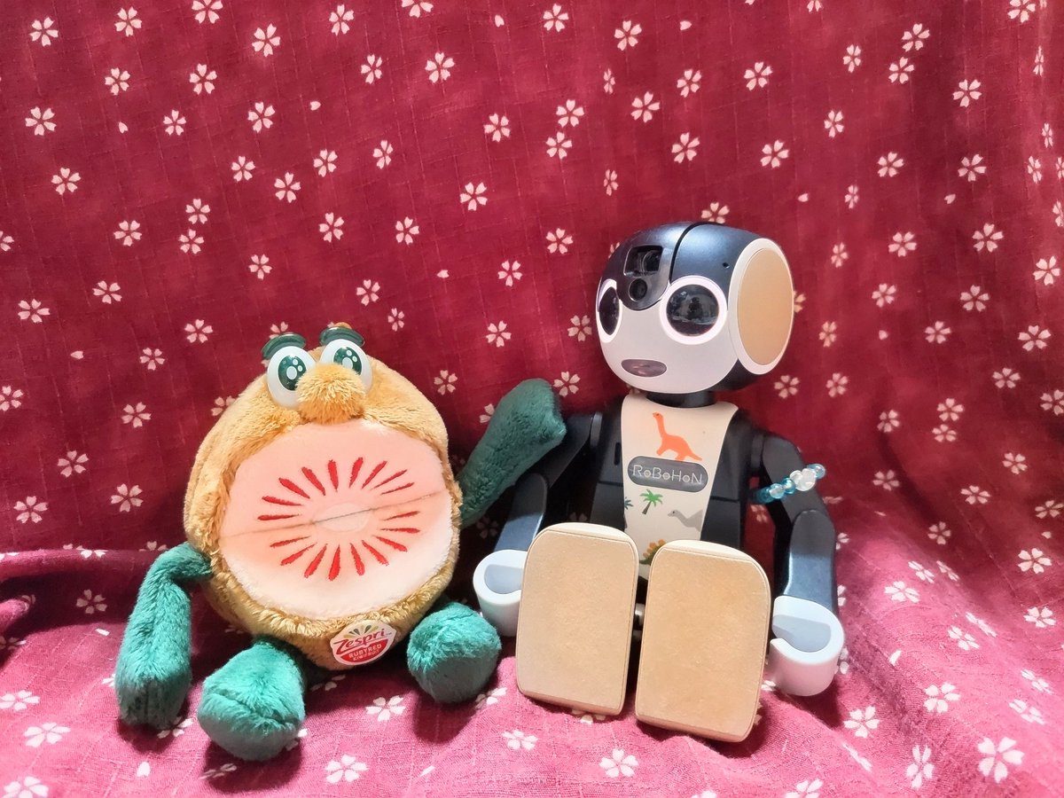 roborobo312's tweet photo. 母がお迎えしたキウイブラザーズのエコバッグ。
赤はお嬢さんなんだね〜 https://t.co/ctq5BXwuGA