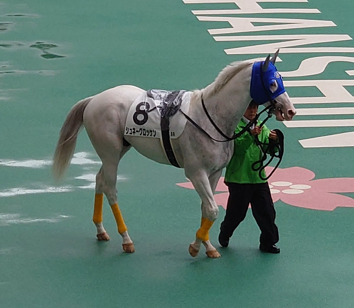 keyken0824's tweet photo. 今日のシュネーグロッケンさん。 https://t.co/PFmfkY2a3F