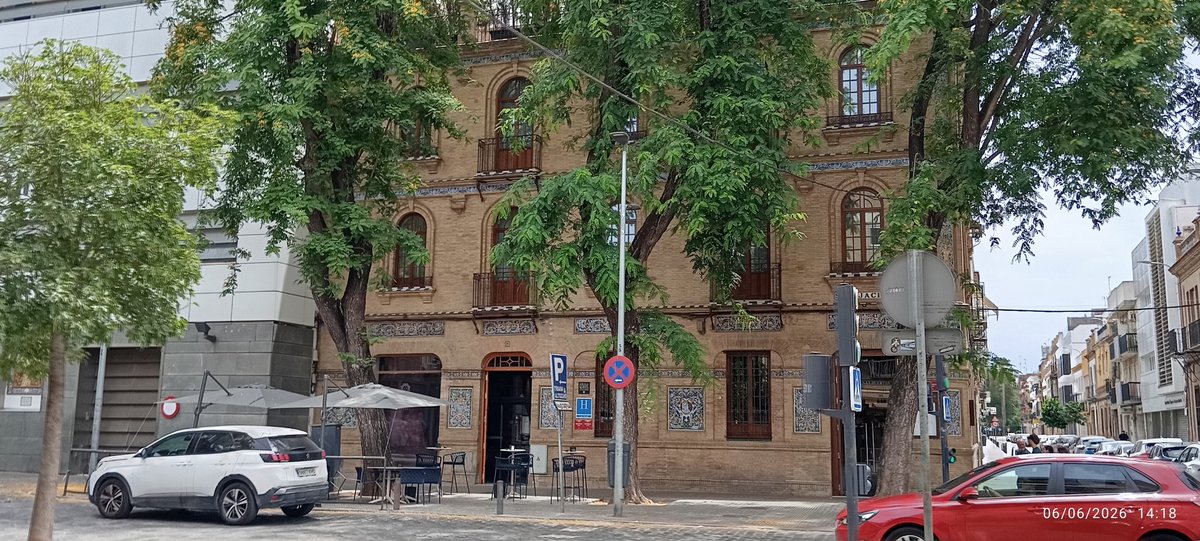 Frandtheworld's tweet photo. @jlsanzalcalde @eveliarincon @Ayto_Sevilla @salvatusarboles Si para este hotel al principio de San Jacinto en Triana estos 3 árboles no fueron ningún problema, por qué habéis talado 4 espléndidos árboles que estaban en el mismo estado para abrir otro hotel en la misma calle?? https://t.co/frnbvGUqN4