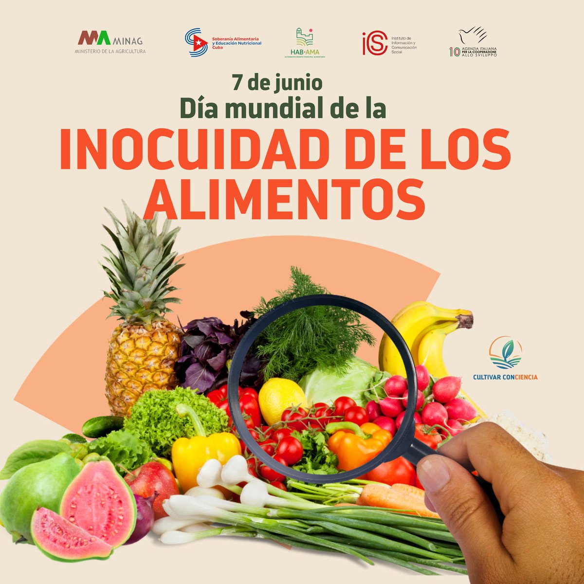 CultivaCiencia's tweet photo. Garantizar la inocuidad de los alimentos es proteger la salud de las personas y la confianza en lo que consumimos. Significa prevenir enfermedades, asegurar que cada producto llegue seguro a la mesa y fortalecer la seguridad alimentaria de nuestras comunidades. 🌱🍅💧

#Cuba https://t.co/lwVmTiNGv5