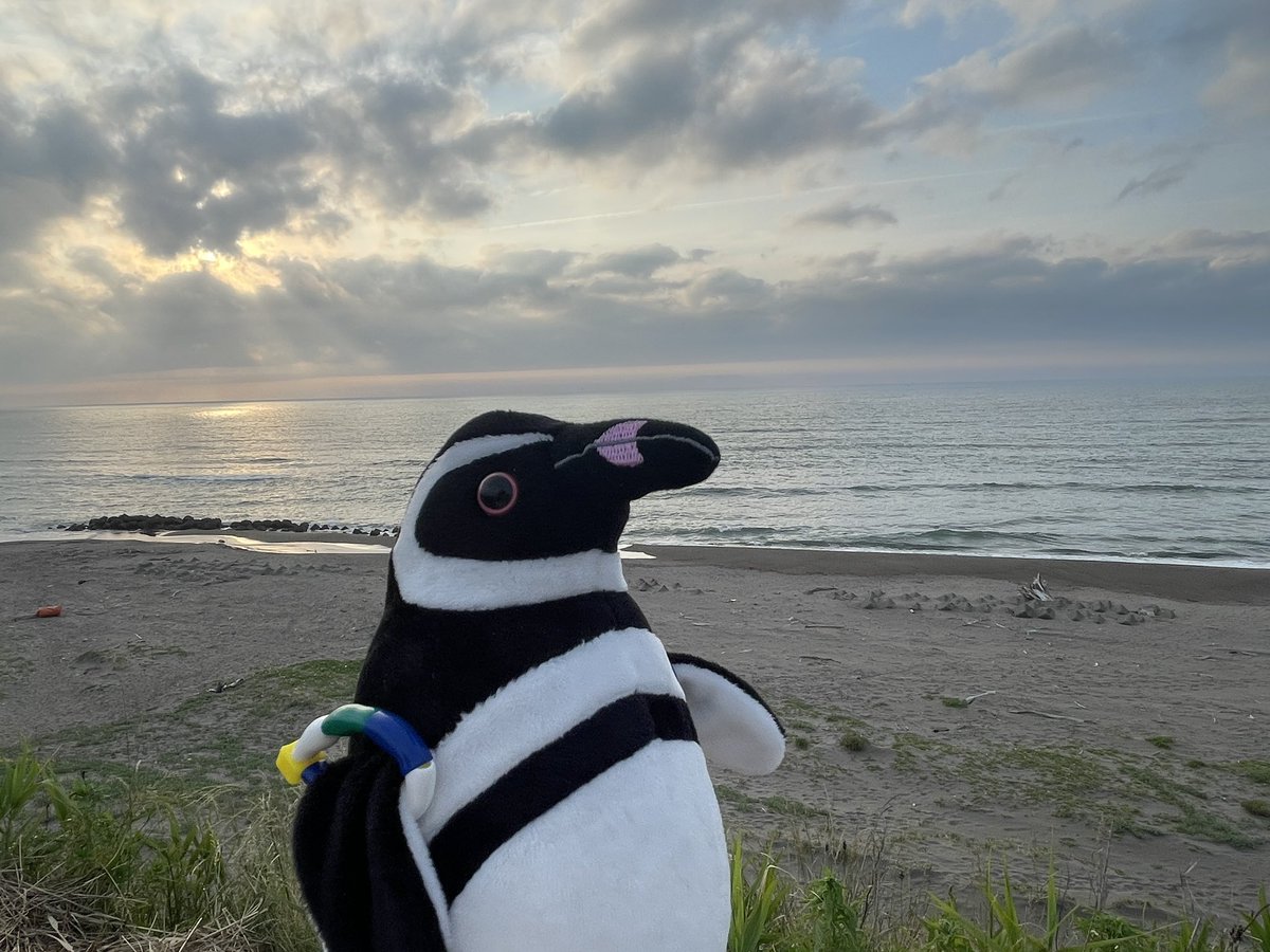 bunno_mao's tweet photo. マゼフェス終了しました！
お越しいただいた皆様ありがとうございました

私自身もうみがたりに遊びに行ったり満喫してきました🐧🐟✨

この写真は昨日の夕日ですごく綺麗でした https://t.co/0OkNIs4FPJ
