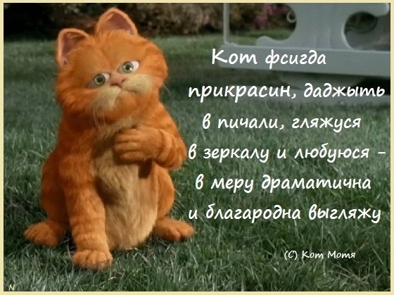 Pertrubatziya's tweet photo. Сие нончи чуйствую сибя шыпко прикрасным катом , самым чудесным и нипофторимым , гляжу на отражению в зеркали и тама вижу самава изячного котика , самава рыжанькава и хорошанькава . Сие квакаю ни ис хвастовства , а токмо излагаю факты, а супротив фактаф никуды , сами знаити ыхыхы https://t.co/5HlNS6ojSG