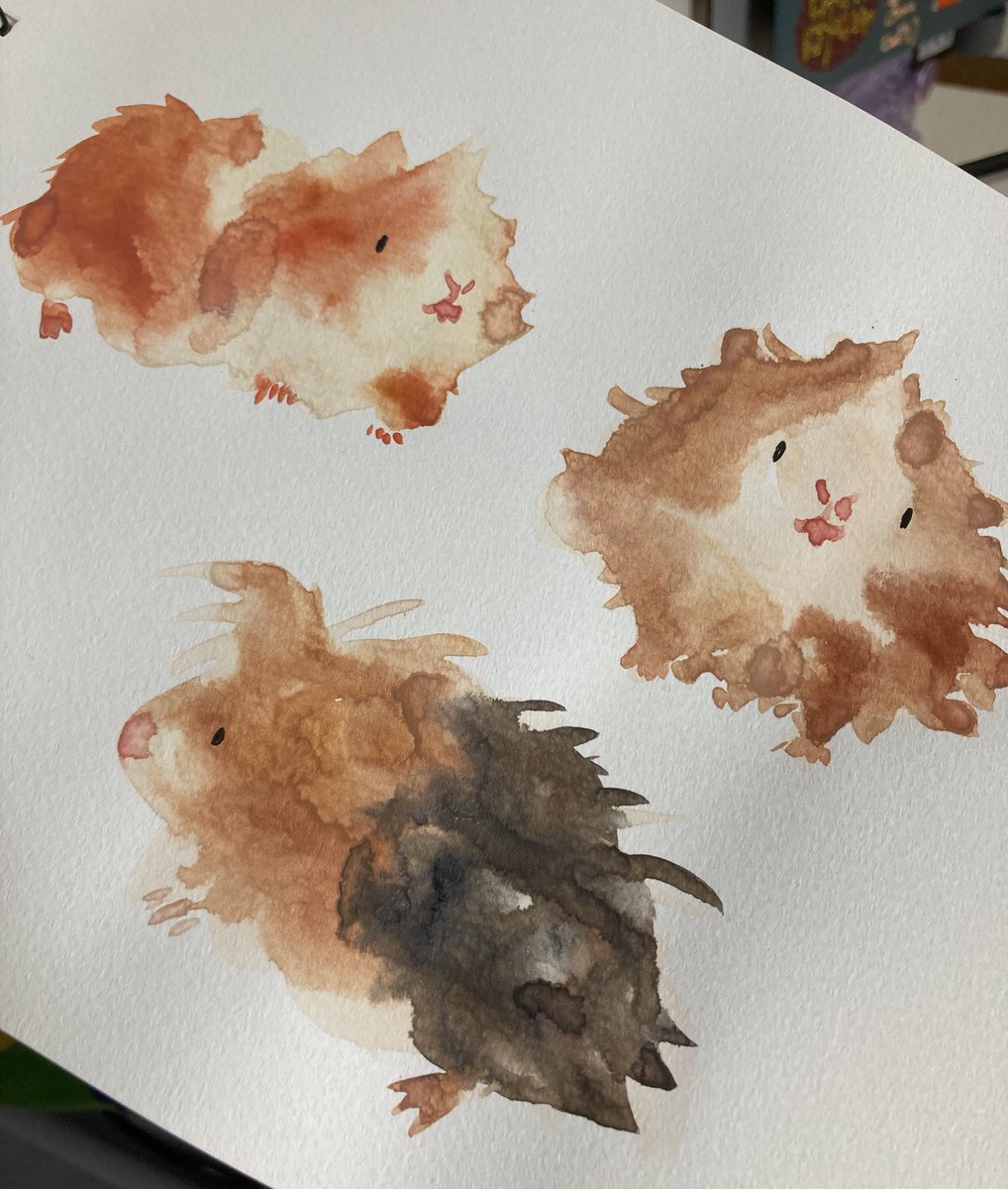 NORISTARCREAM's tweet photo. 前に顔彩で描いたモルモット
味があってお気に入り🐹 https://t.co/79njqEirMN