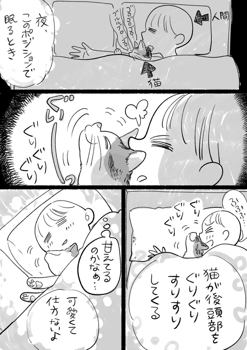 RT @marchita: 可愛さと愛しさで毎日胸がいっぱいになります