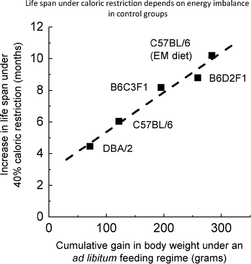 Mangan150's tweet photo. Caloric restriction extends lifespan to the extent that it prevents obesity.

https://t.co/fZRQU9kZ3m https://t.co/BjNOq7BmAs