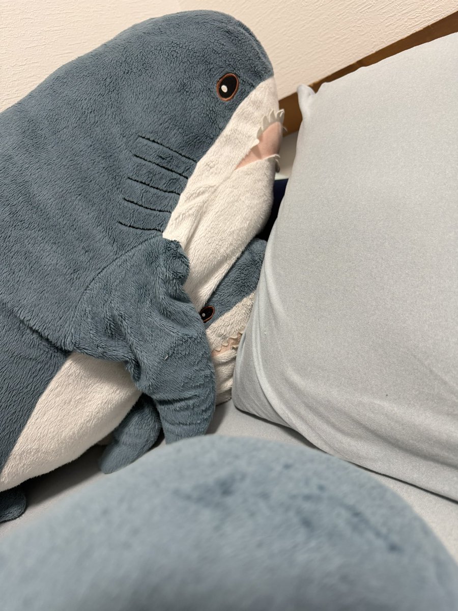_SoniTri's tweet photo. ペンギンサメ🦈🐧 https://t.co/1t11yYtzMF