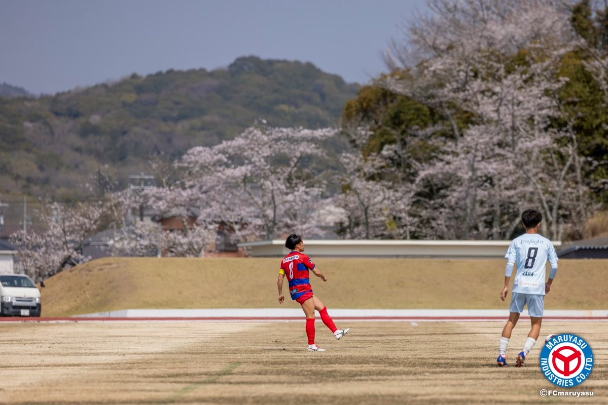 maruyasuokazaki's tweet photo. 📷photograph📷
 CUP戦期間中の写真をpickup✨
第2節の桜🌸 https://t.co/JMMFeirgFD