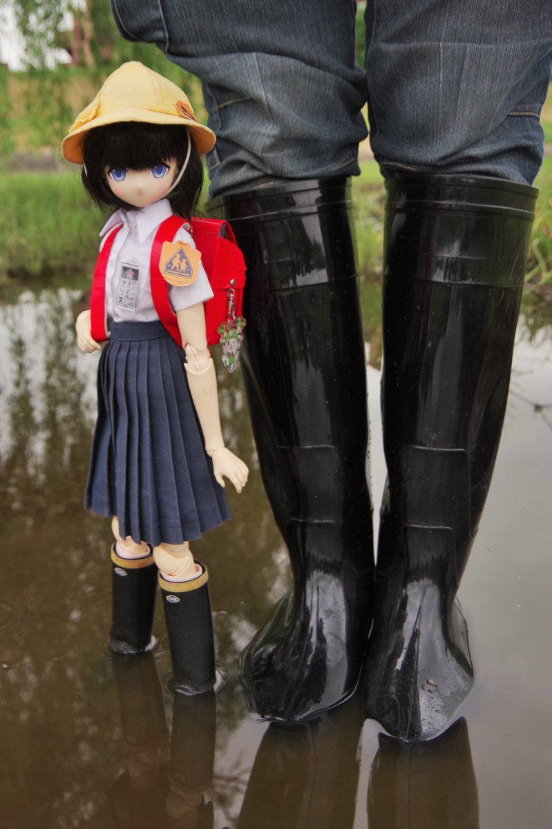 pet73359's tweet photo. 今日のお出かけ
ほのの・アリス・星奈
５０ｃｍ　１／３　（アゾカツ https://t.co/ertfLJKTFx