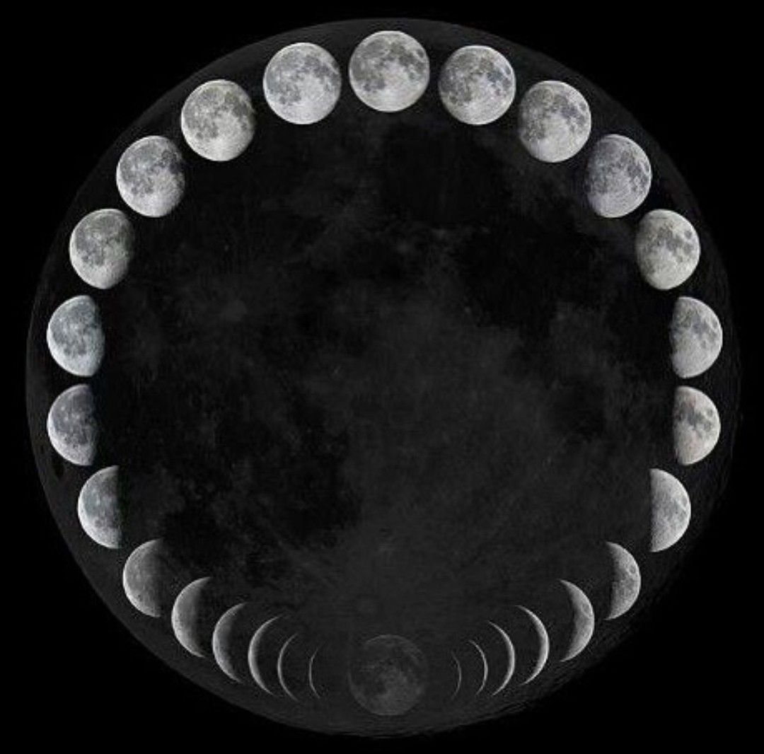 ganchitecture's tweet photo. https://t.co/M8pIHWR3tp