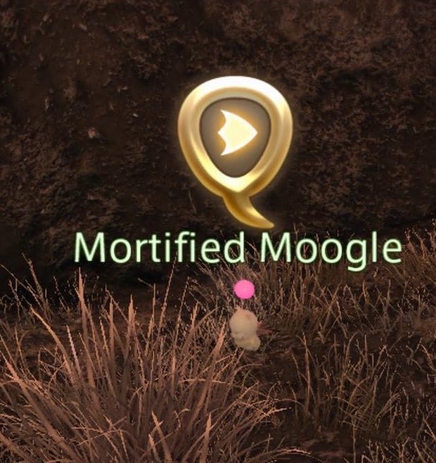 paperell0's tweet photo. incontrato ripetutamente me stessa su ffxiv https://t.co/U3hu7flbip